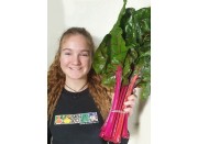 SPRAY FREE CHARD  Bunch Katikati Grown